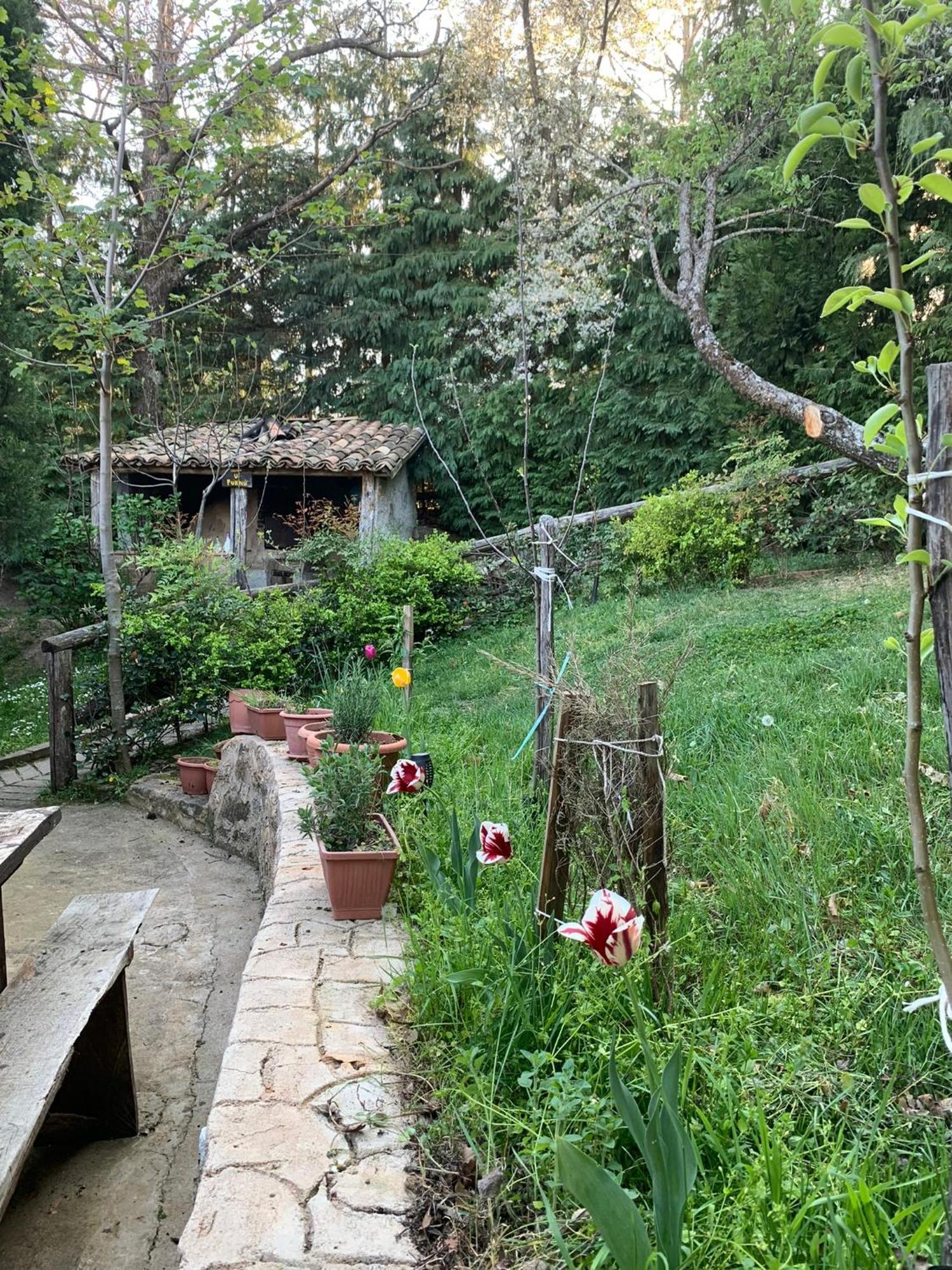 Agriturismo Carrozzino Sersale Exterior photo